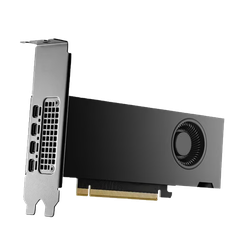 Dell NVIDIA RTX 2000 Ada