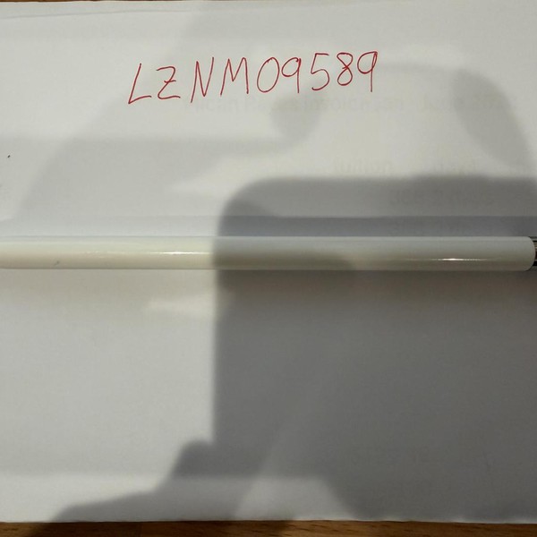 Apple Pencil 1st Gen