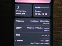 OnePlus 13