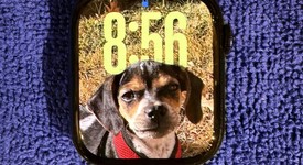 Good
													Apple Watch Series 7 45mm - Black, A2474 - GPS, Aluminum, photo 2 of 6