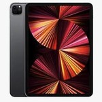 Mint Apple iPad Pro 11 inch 3rd Gen 2021 - Unlocked, Gray, 256 GB