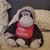 Seller: LTYLTY