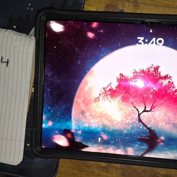 Samsung Galaxy Tab S8 Ultra - Wi-Fi, 256 GB, Graphite, 12 GB, SM-X900