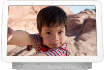Google Nest Hub for sale