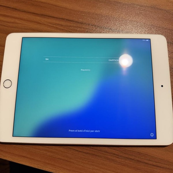 Apple iPad Mini 5th Gen - Wi-Fi, 256 GB, Gold