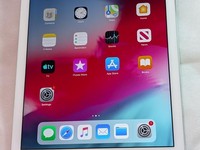 Apple iPad Air