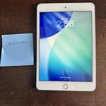 Good Apple iPad Mini (5th Gen) - Wi-Fi, 64 GB, Silver