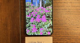 Good
													Apple iPhone 12 Pro Max - Unlocked, Graphite, 256 GB, A2342, photo 1 of 3