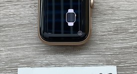 Mint
													Apple Watch Series 6 40mm - Unlocked, Gold, A2293 - Cellular, Aluminum, photo 6 of 6