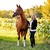 Seller: shelly m.