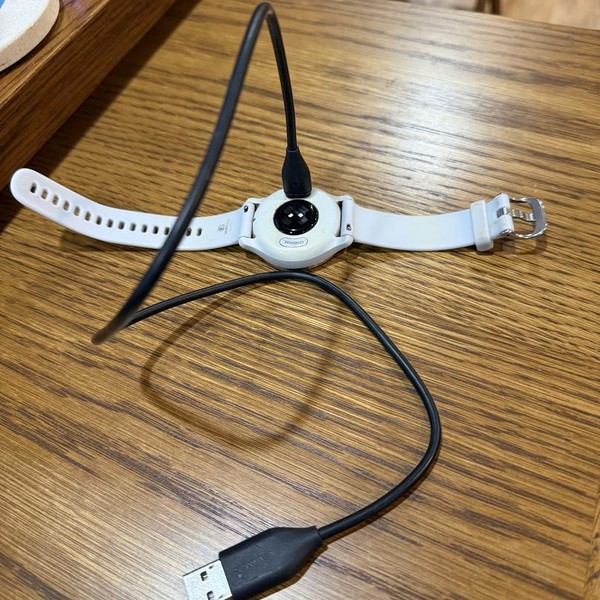 Garmin Venu 2S - Silver