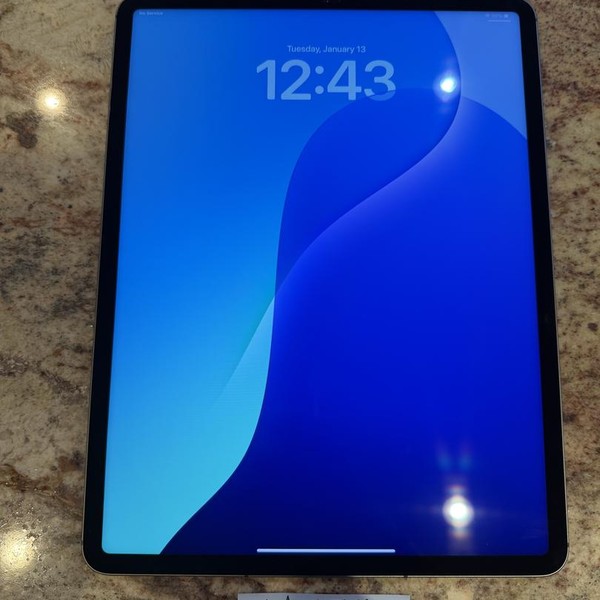 Apple iPad Pro 12.9 inch 5th Gen 2021 - Unlocked, 128 GB, Gray