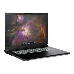 System76 Bonobo WS