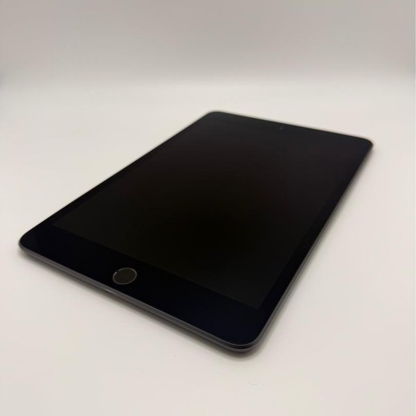 Apple iPad Mini (5th Gen) - Wi-Fi, 256 GB, Gray