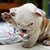 Seller: Mike P.