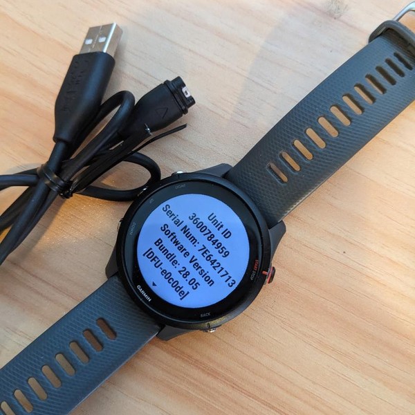 Garmin Forerunner 255 - Gray, Standard