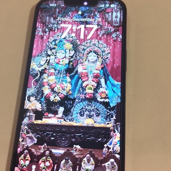 Apple iPhone 13 Pro - Unlocked, Graphite, 256 GB, A2483