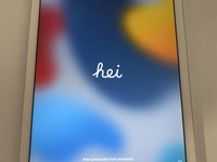 Apple iPad Air 2