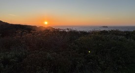 Used
													Apple AirPods Pro 2 - Lightning, photo 6 of 6