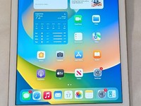 Apple iPad 5th Gen
