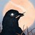 Seller: Andrew S.