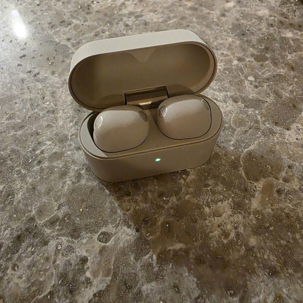 Sony WF-1000XM6 - Platinum Silver