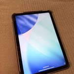 Mint Apple iPad Mini (6th Gen) - Wi-Fi, 64 GB, Gray, A2567