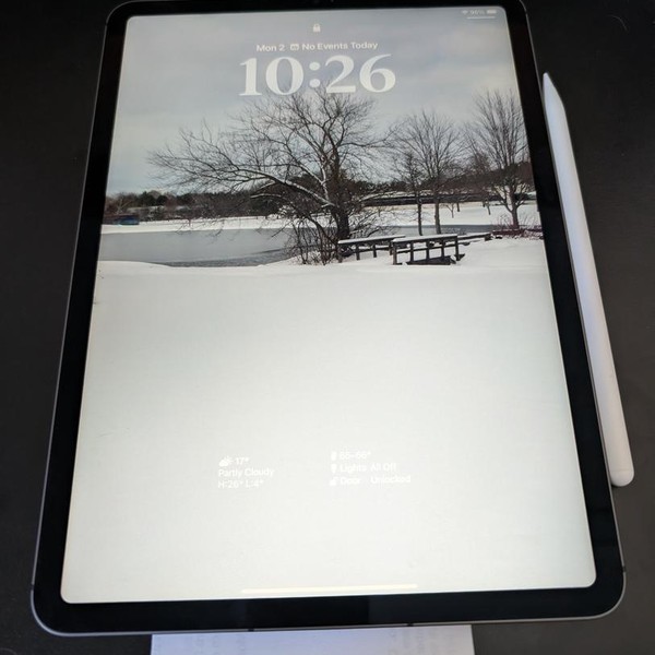 Apple iPad Pro 11 inch 3rd Gen 2021 - Unlocked, 256 GB, Gray
