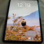 Good Apple iPad Pro 11 inch (M4) 2024 - Wi-Fi, 512 GB, Black, 8 GB, A2836, Standard Glass