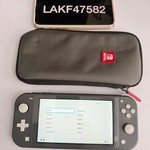 Mint Nintendo Switch Lite - Gray