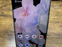 Google Pixel 6 Pro
