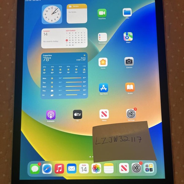 Apple iPad Pro 12.9 inch 1st Gen 2015 - Unlocked, 128 GB, Gray, A1652, 1st Gen 2015