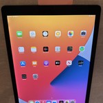Mint Apple iPad Pro 12.9 inch 2nd Gen 2017 - Wi-Fi, 256 GB, Gray