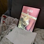 Mint Apple iPad (11th Gen) - Verizon, 128 GB, Pink, A3355