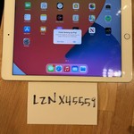 Good Apple iPad Air 2 - Wi-Fi, Gold, 16 GB