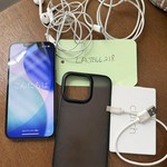 Good Apple iPhone 13 Pro - Unlocked, 256 GB, Green, A2483