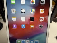 Apple iPad Mini 2 Retina