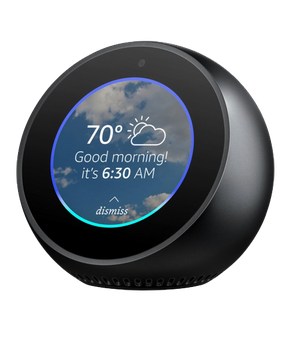Amazon Echo Spot for sale