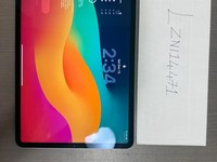 Apple iPad Pro 11" 4th Gen 2022