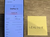 OnePlus 13