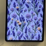 Mint Apple iPad Pro 12.9 inch 6th Gen 2022 - Wi-Fi, 256 GB, Silver