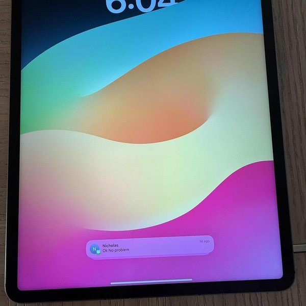 Apple iPad Pro 12.9 inch 5th Gen 2021 - Unlocked, 256 GB, Gray