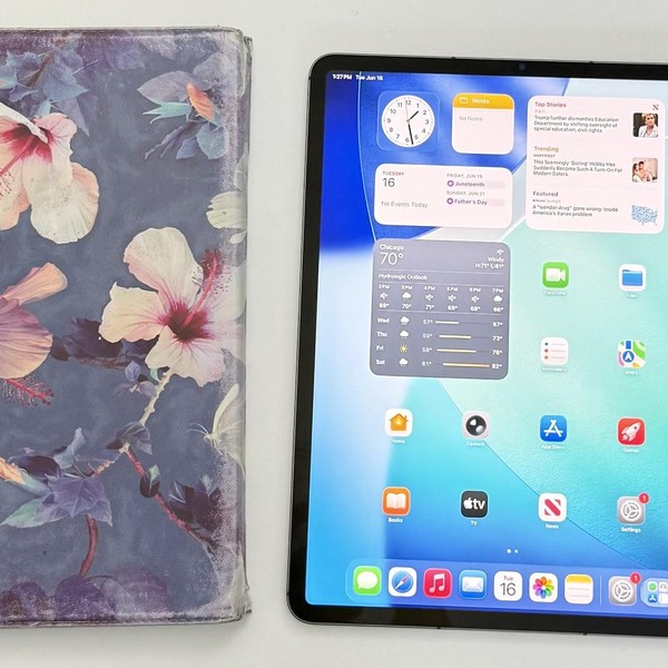 Apple iPad Pro 12.9 inch 5th Gen 2021 - Unlocked, 128 GB, Gray