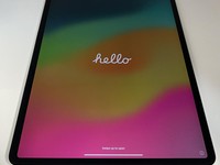 Apple iPad Pro 12.9" 4th Gen 2020