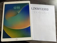 Apple iPad Pro 12.9" 1st Gen 2015