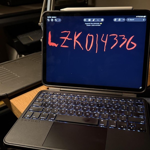 Apple iPad Pro 11 inch 3rd Gen 2021 - Unlocked, 256 GB, Gray