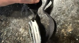 Mint
													Samsung Galaxy Watch Ultra - Unlocked, Silver, SM-L705U, 47mm, photo 6 of 6