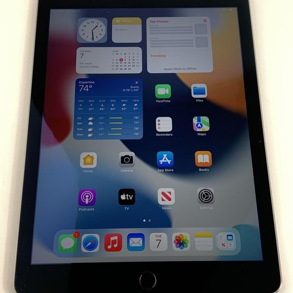 Apple iPad Air 2 - Wi-Fi, 16 GB, Gray