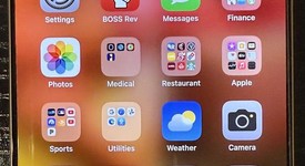 Mint
													Apple iPhone 16 Pro Max - Unlocked, Natural, 256 GB, A3084, photo 4 of 10