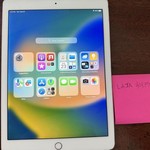 Mint Apple iPad Pro 9.7 inch - AT&T, 128 GB, Rose Gold, A1674